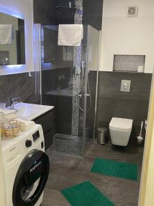 a bathroom with a shower and a toilet and a sink at Luxus Apartament in Ammersbek