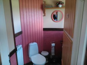 a bathroom with a toilet and a mirror at Kõrgemäe Turismitalu in Tusti +12 photos