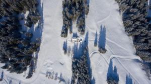 Billede fra billedgalleriet på Chalet Le Plaigny - golf de Méribel i Méribel