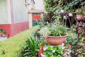 Fotografie z fotogalerie ubytování Felix 88 v destinaci Băile Felix