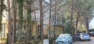 都拉斯GERI'S的两辆汽车停在树屋前 更多8张照片