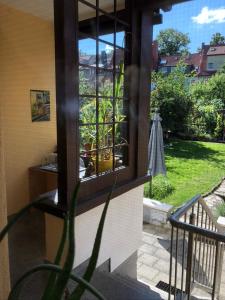 ein Fenster eines Hauses mit Blick auf einen Hof in der Unterkunft Ferienwohnung an der grünen Clara in Erfurt