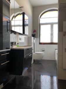 ein Badezimmer mit Waschbecken und Toilette in der Unterkunft Ferienwohnung an der grünen Clara in Erfurt