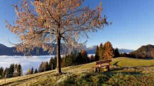 Fotografie z fotogalerie ubytování Panoramahof am Goldberg v destinaci Dellach