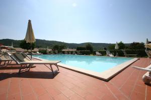 Bazén v ubytování Agriturismo Cortoreggio nebo v jeho okolí