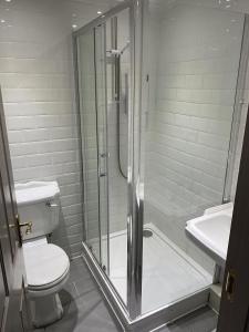 a bathroom with a shower and a toilet and a sink at The Ship Inn in York