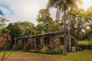 a stone house with a palm tree in front of it at Palm Grove Rainforest Retreat in Palm Grove