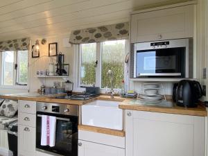 a kitchen with a sink and a microwave at The Duck House in Swansea