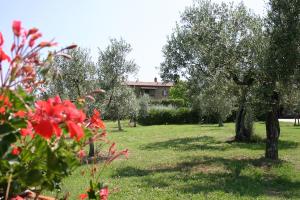 Zahrada ubytování Agriturismo Cortoreggio