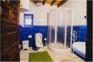 ein blau gefliestes Bad mit einer Dusche und einem WC in der Unterkunft Cortijo Rural Español Ideal para desconectar in Villanueva de Mesía