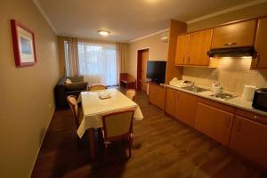 Kuchyň nebo kuchyňský kout v ubytování Udoben apartma v Moravskih Toplicah