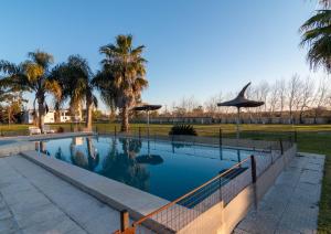 a swimming pool in a park with palm trees at Complejo Paradise in Colón