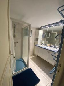 La petite salle de bains est pourvue d'une douche et d'un lavabo. dans l'établissement studio indépendant près du centre ville, à Nîmes