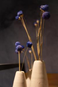 Fotografie z fotogalerie ubytování Hotel - B&B Elementum v destinaci Kortrijk