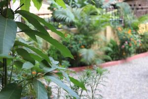 un jardín con muchas plantas verdes y árboles en Hotel Happy Home en Chitwan