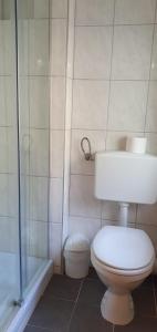 a bathroom with a toilet and a shower at Hotel Gasthaus Felseneck in Staufenberg