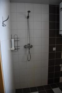 a shower in a bathroom with a shower head at Vao Guesthouse in Vao