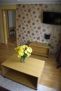 TV in/ali zabaviščno središče v nastanitvi Vao Guesthouse