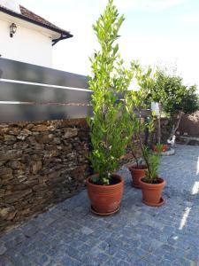 Um jardim no exterior de Alojamento Rural Casa da Eira