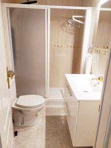 a bathroom with a shower and a toilet and a sink at Apartamento Carvajal Beach in Fuengirola