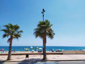 two palm trees on a sidewalk near the beach at Apartamento Carvajal Beach in Fuengirola