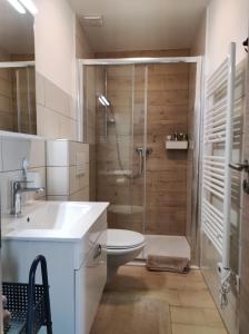 uma casa de banho com um chuveiro, um WC e um lavatório. em Apartman Marinac em Roč