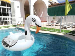 un cygne gonflable dans une piscine dans l'établissement Marreiro's house Algarve - Child friendy - Private Pool, à Lagos