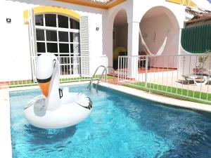 拉古什的住宿－Marreiro's house Algarve - Child friendy - Private Pool，游泳池里的天鹅充气天鹅