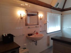 La salle de bains est pourvue d'un lavabo et d'un miroir. dans l'établissement VRYE HEERLYKHEYD ( adults only ) studio 3, à Middelbourg