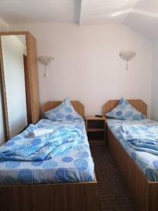 a bedroom with two beds and a mirror at Pensiunea Floare de Colt in Deva