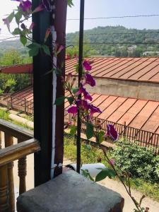Ban công/sân hiên tại Guest house Babaka