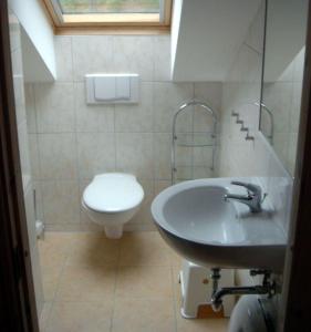 a bathroom with a white toilet and a sink at Ferienhaus-Kinderlieb in Baabe +23 photos