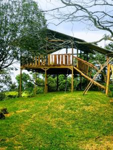 a wooden deck sitting on top of a grass field at Cecropia Ecolodge in Fortuna