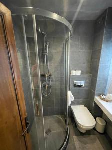 a bathroom with a shower and a toilet at Petar Aparts in Balchik