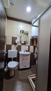 a bathroom with a toilet and a sink and a mirror at Apartmani Central 2.0 & Free parking in Vrnjačka Banja