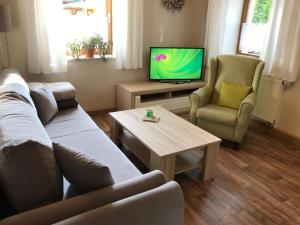 a living room with a couch and a tv at Haus Daheim in Bad Schandau