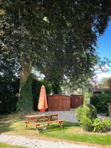 einen orangenen Regenschirm auf einem Picknicktisch im Garten in der Unterkunft Le Petit Chalet in Bagnoles de l'Orne