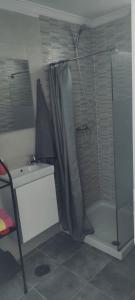 a bathroom with a shower and a sink at Apartamento Yale in Tías