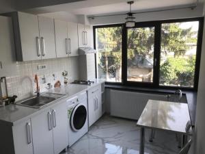 a kitchen with a sink and a washing machine at Casa Bacestianu in Buzau
