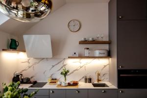 Kuchnia lub aneks kuchenny w obiekcie Apartamenty Stare Miasto Zamość, Prywatny Parking, Winda
