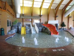 a group of white swans in a water park at Cranberry Country Lodge in Tomah