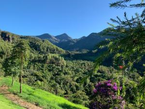 a view of a valley with mountains in the background at Flor de Café Pousada in Pedra Menina