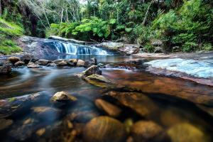 a stream with rocks and a waterfall in a forest at Flor de Café Pousada in Pedra Menina
