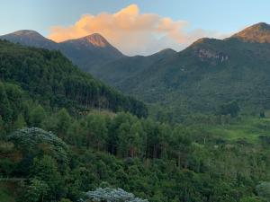 a view of a valley with trees and mountains at Flor de Café Pousada in Pedra Menina