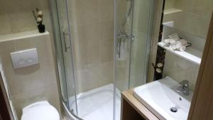 a bathroom with a shower and a toilet and a sink at Apartments Jani in Hvar