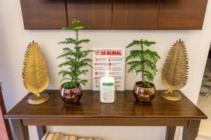 伊斯坦布尔MENAR HOTEL&SUITES -Old City Sultanahmet的相册照片