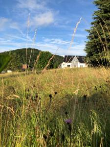 a field of tall grass with a house in the background at Apartment Montabaur Heiligenroth in Heiligenroth