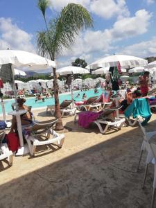 a group of people sitting in chairs at a swimming pool at All'Ombra Del Noce B&B in Catona