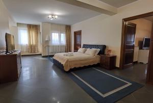 ein Schlafzimmer mit einem Bett und einem TV in der Unterkunft Liberty Rooms in Făgăraş