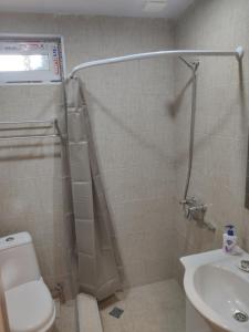 ein Bad mit einer Dusche, einem WC und einem Waschbecken in der Unterkunft Akaki's Guesthouse in Bordschomi